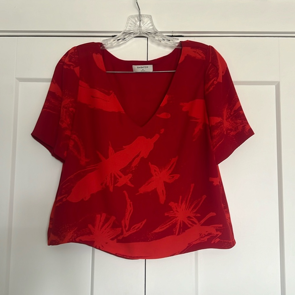 Aritiza (Babaton) blouse